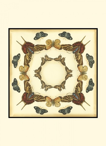 Small Butterfly Collector I