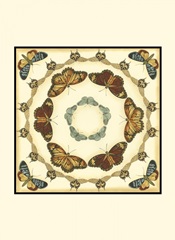 Small Butterfly Collector II