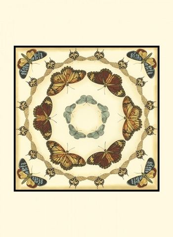 Small Butterfly Collector II