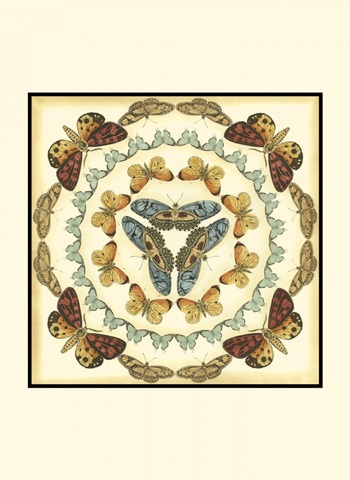 Small Butterfly Collector IV