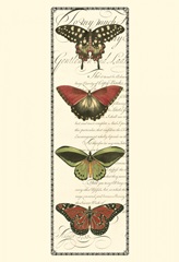 Small Butterfly Prose Panel I