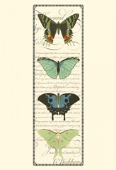 Small Butterfly Prose Panel II