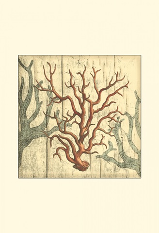 Small Coral Impressions I