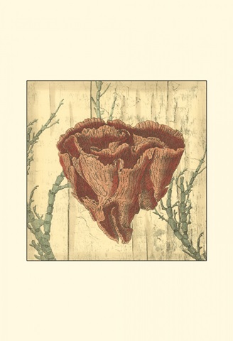 Small Coral Impressions III