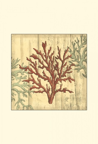 Small Coral Impressions IV