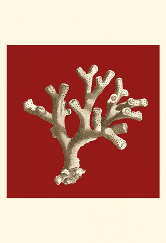 Small Coral on Red II