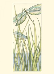 Small Gossamer Dragonflies I