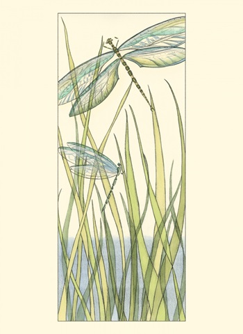 Small Gossamer Dragonflies I