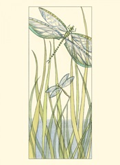 Small Gossamer Dragonflies II