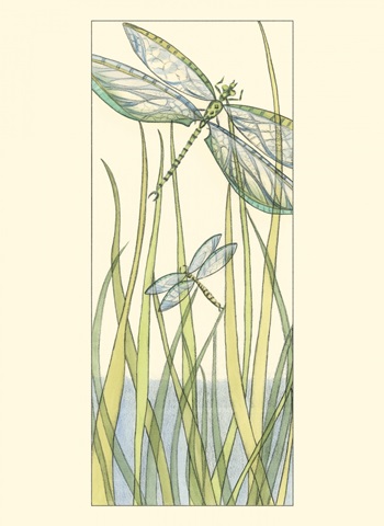 Small Gossamer Dragonflies II