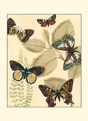 Small Graphic Butterflies I