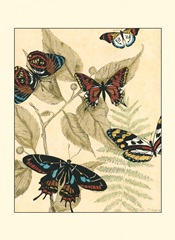 Small Graphic Butterflies II