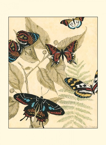 Small Graphic Butterflies II