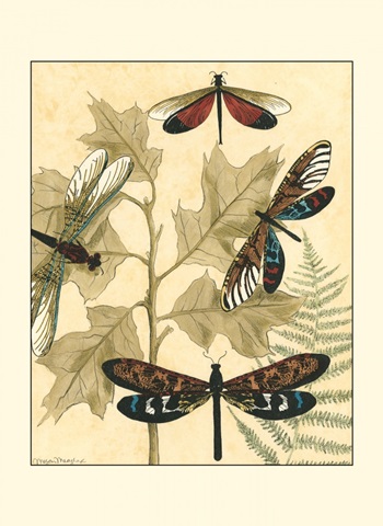 Small Graphic Dragonflies I