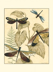 Small Graphic Dragonflies II