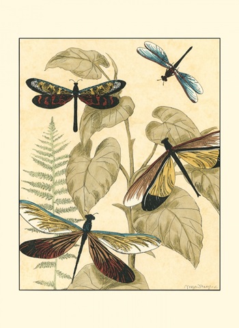 Small Graphic Dragonflies II