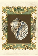 Small Mermaid's Shells I