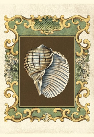 Small Mermaid's Shells I