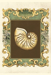 Small Mermaid's Shells II