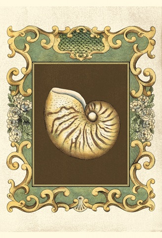 Small Mermaid's Shells II