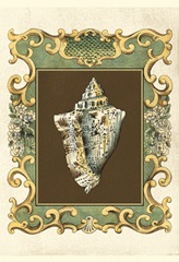 Small Mermaid's Shells III