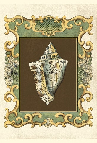 Small Mermaid's Shells III