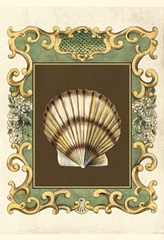 Small Mermaid's Shells IV