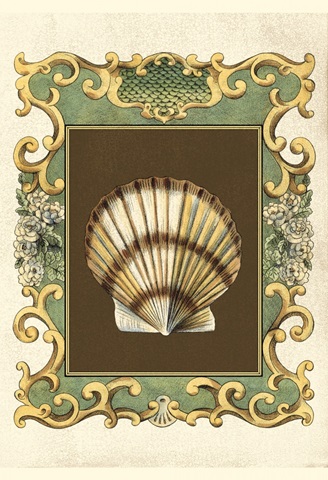 Small Mermaid's Shells IV