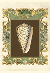 Small Mermaid's Shells VI