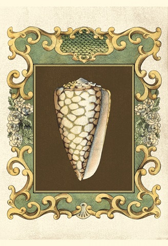 Small Mermaid's Shells VI