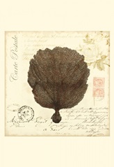 Small Romance du Mer II