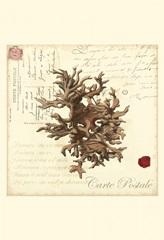 Small Romance du Mer III