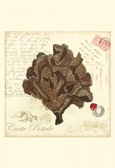 Small Romance du Mer IV