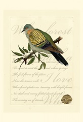 Small Romantic Dove I