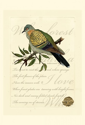 Small Romantic Dove I