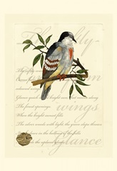 Small Romantic Dove II