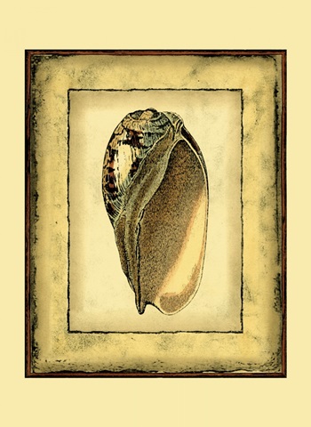 Small Rustic Shell I