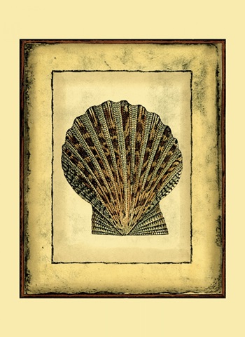 Small Rustic Shell II