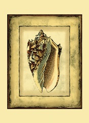 Small Rustic Shell III