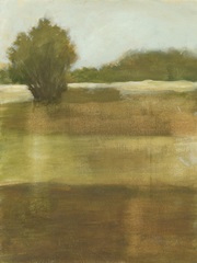 Tranquil Meadow I