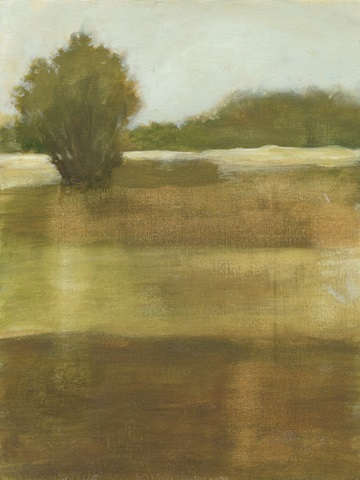 Tranquil Meadow I