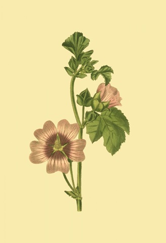 Tropical Ambrosia II