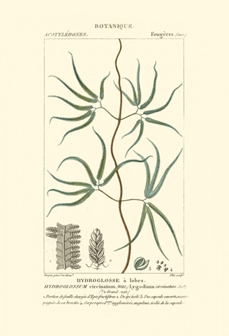 Turpin Botany II