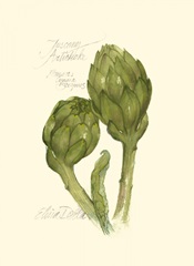 Tuscany Artichoke