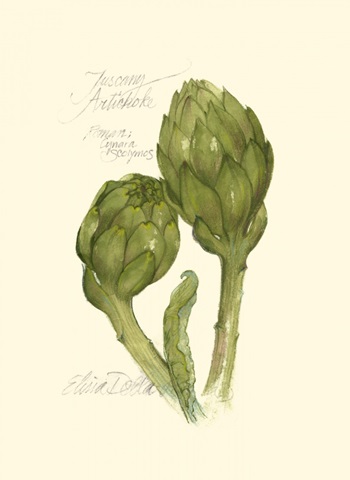 Tuscany Artichoke