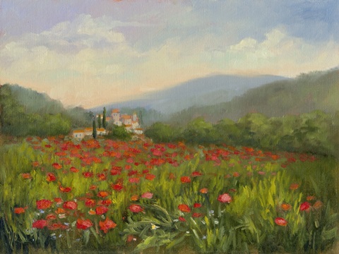 Umbrian Poppy Field