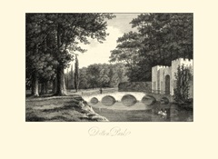 View of Ditton Park