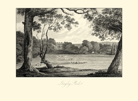 View of Langley Park