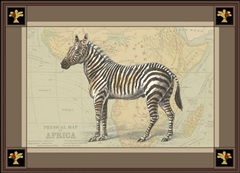 Zebra with Border I