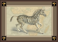 Zebra with Border II